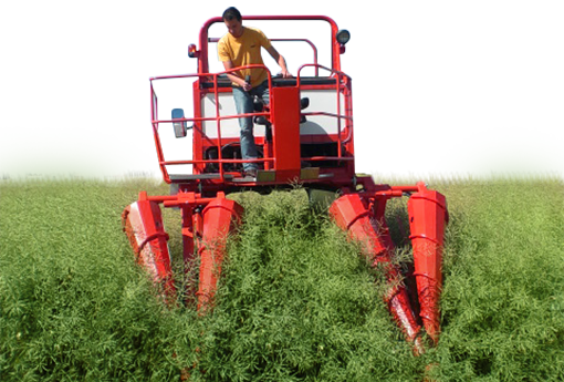 Moissonneuse batteuse DP4000 - BAURAL - Construction de machines spéciales  pour la recherche agronomique